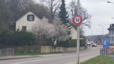 Route de Courgenay panneaux 50