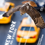 New York à Vol d'Oiseau