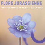 Exposition photos "Flore jurassienne"